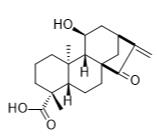 ent-11α-Hydroxy-15-oxokaur-16-en-19-oic acid标准品