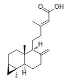 红杉酸A标准品