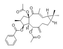 大戟因子L3标准品