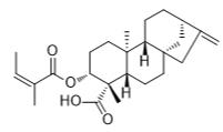 ent-3β-Angeloyloxykaur-16-en-19-oic acid标准品