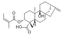 3α-Angeloyloxypterokaurene L3标准品