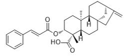 ent-3β-肉桂酰氧基金-16-烯-19-油酸标准品