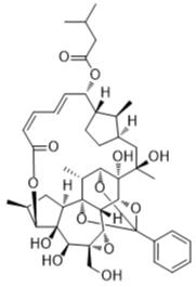 甲甲状腺素N标准品