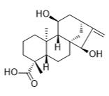 ent-11α，15α-二羟喹啉-16-烯-19-油酸标准品