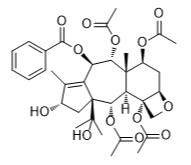 云南红豆杉酯甲标准品