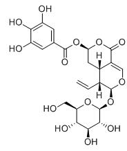 7β-没食子酸酯标准品