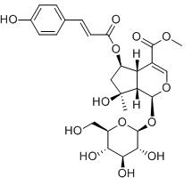 6-O-反-对-香豆酰基山芝苷甲酯标准品