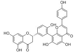 2,3-二氢穗花杉双黄酮标准品