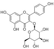 紫云英苷标准品