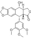 鬼臼毒素标准品