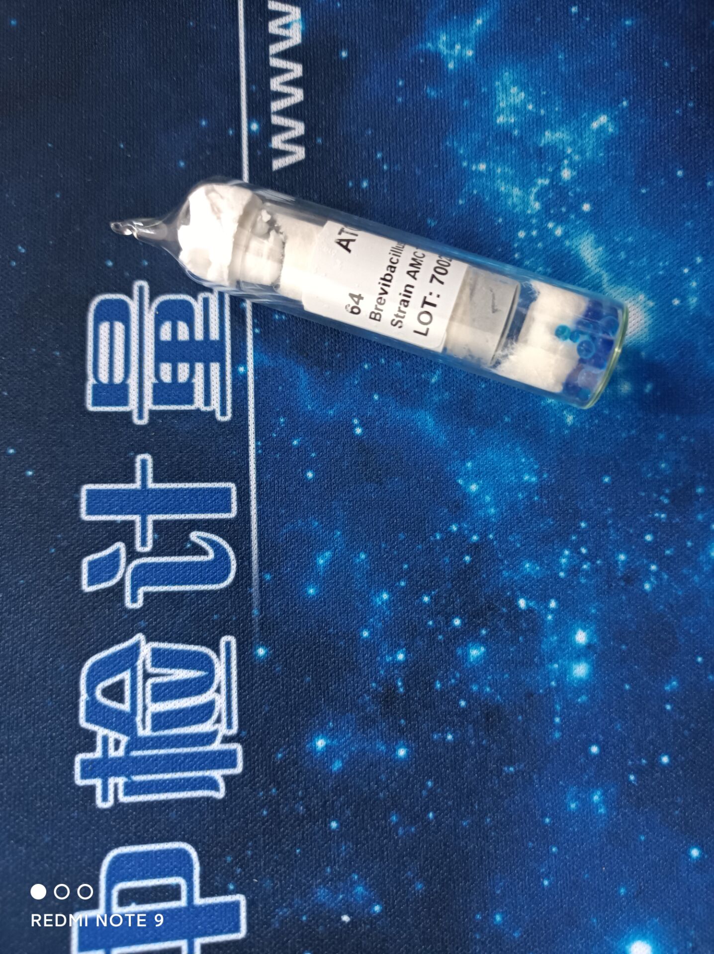 侧孢短芽孢杆菌