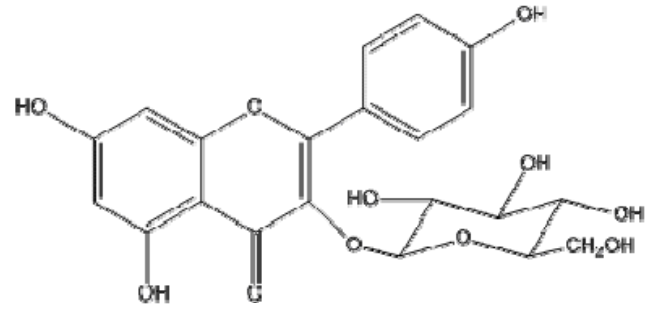 紫云英苷对照品